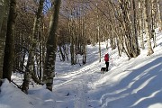 27 Salendo nella bellissima faggeta pestando neve